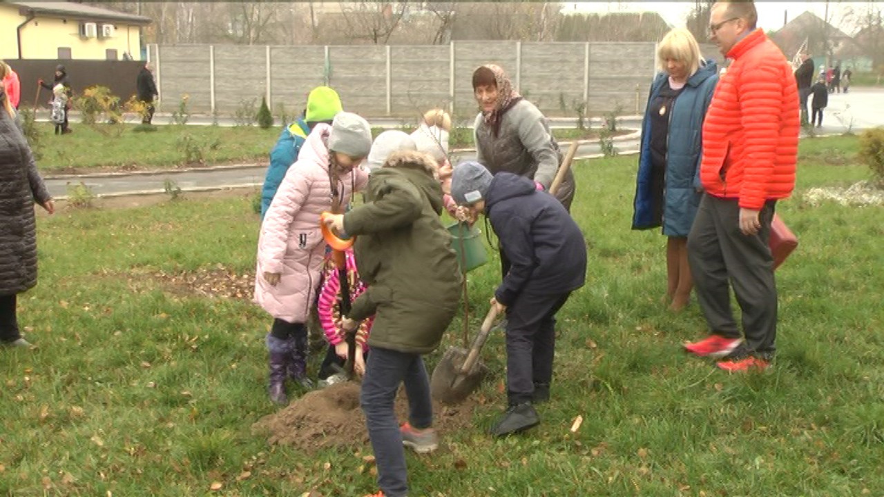 У десяти вінницьких школах триває акція «Посади дерево — збережи довкілля»