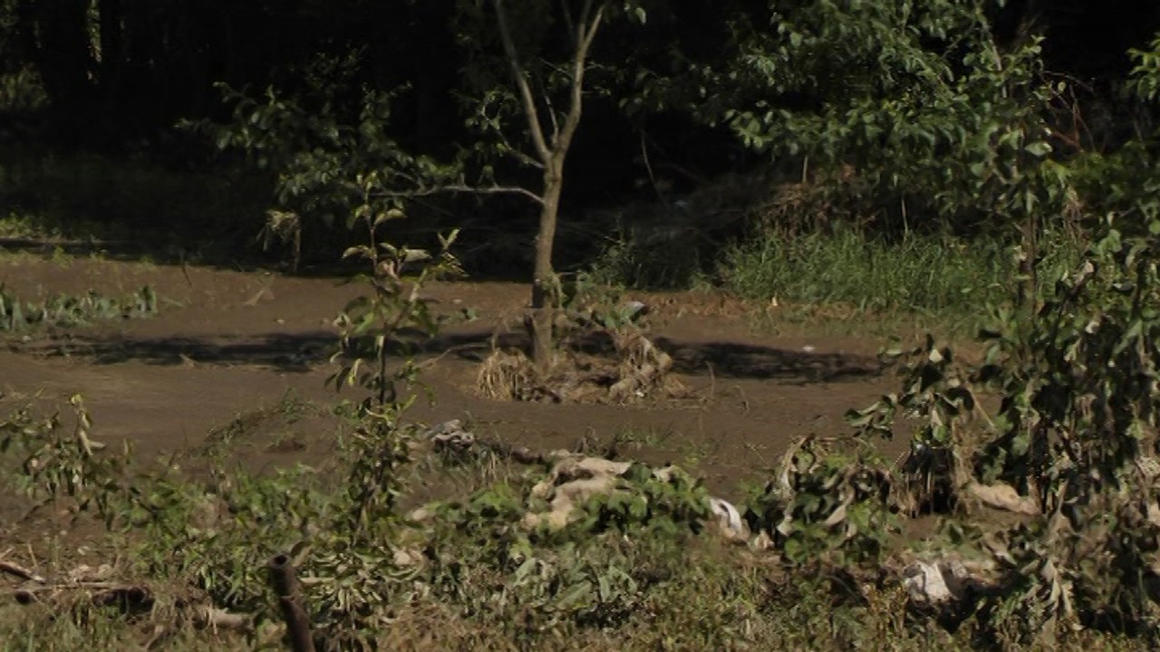 У Жмеринському районі негода пошкодила посіви кукурудзи, порозмивала греблі та дороги