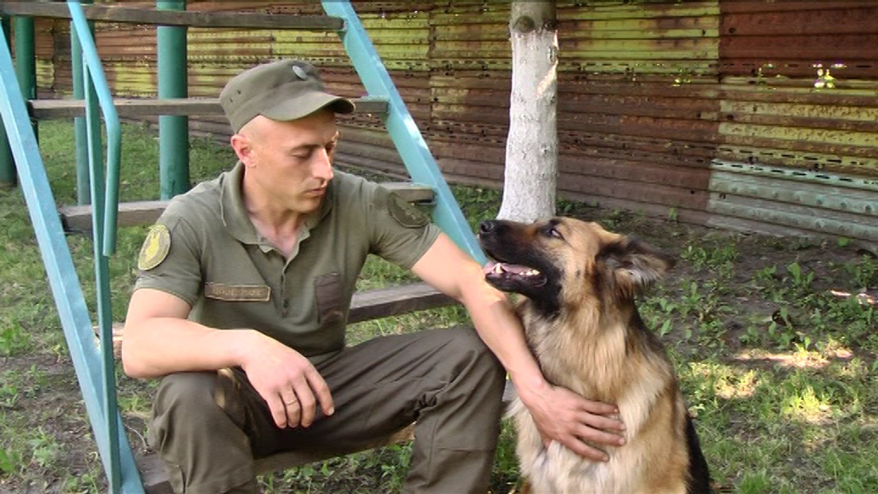 Гострий нюх і швидка реакція: або як військові пси демонструють навички на змаганнях кінологів